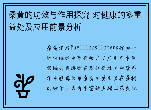桑黄的功效与作用探究 对健康的多重益处及应用前景分析